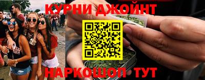 гидра Бузулук