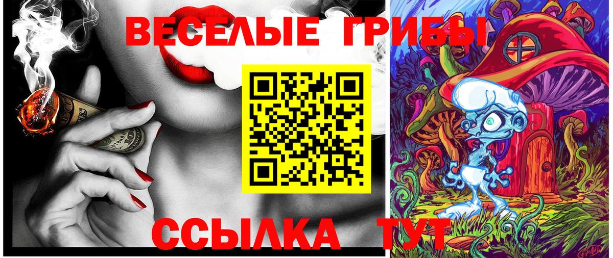 Прохладный  Псилоцибиновые грибы GOLDEN TEACHER  Псилоцибиновые грибы MAGIC MUSHROOMS  Вход с VPN 
