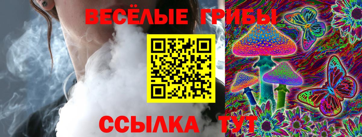 Псилоцибиновые грибы MAGIC MUSHROOMS Прохладный